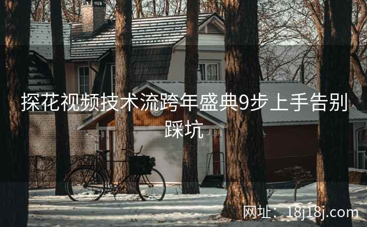 探花视频技术流跨年盛典9步上手告别踩坑 探花视频技术流跨年盛典9步上手告别踩坑