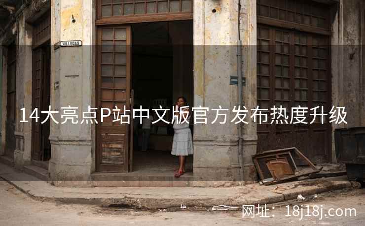 14大亮点P站中文版官方发布热度升级