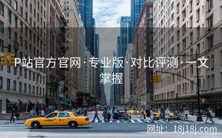P站官方官网·专业版·对比评测·一文掌握