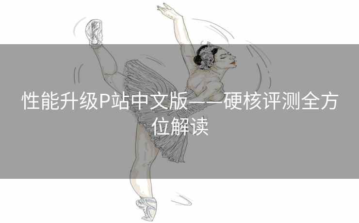 性能升级P站中文版——硬核评测全方位解读 性能升级P站中文版——硬核评测全方位解读