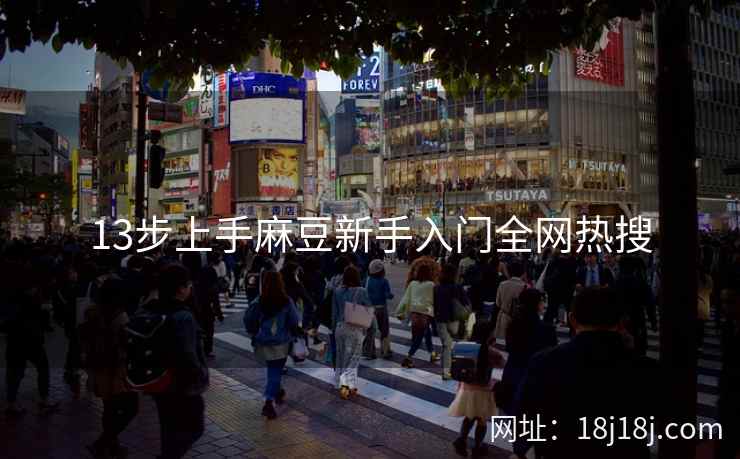 13步上手麻豆新手入门全网热搜