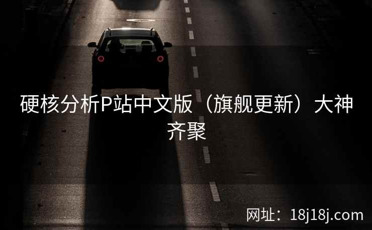 硬核分析P站中文版（旗舰更新）大神齐聚