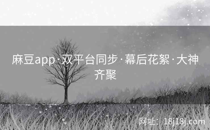 麻豆app·双平台同步·幕后花絮·大神齐聚